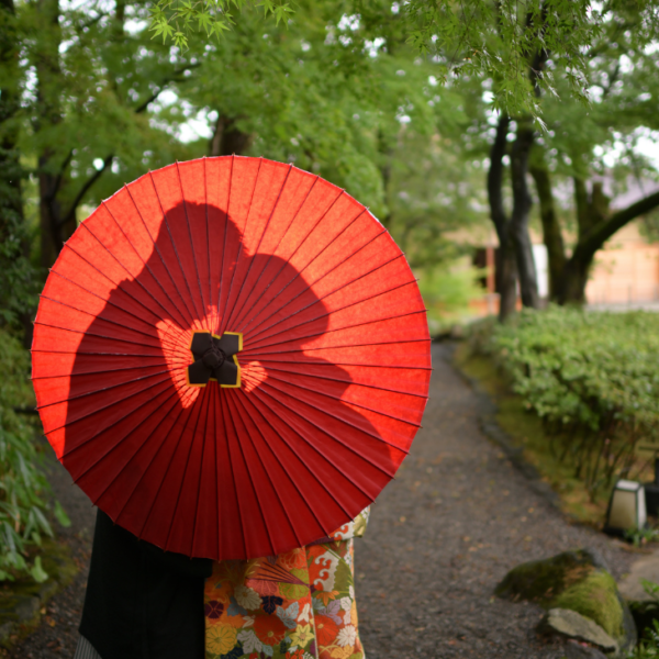 撮影：福井市養浩館