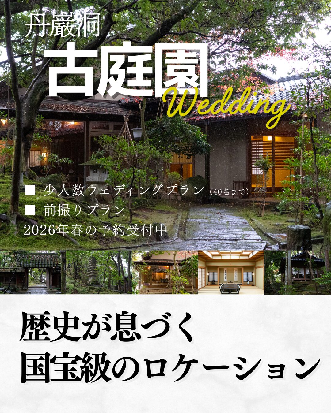 丹巌堂 ×ENSEEDプラン